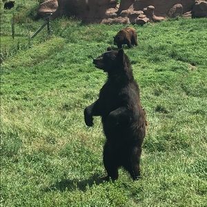 Meet your Posher, Claudia